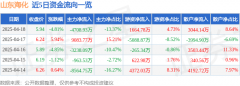 山东海化（000822）